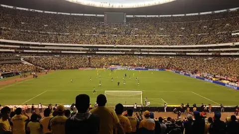 排列五202651期专家质合分析推荐前区十码