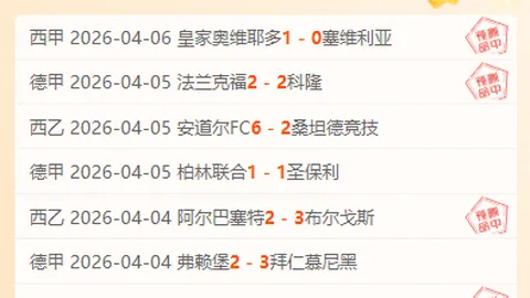 申京制胜，火箭胜森林狼篮板战焦灼